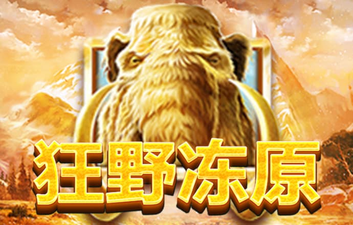 凤凰彩票平台手机版本